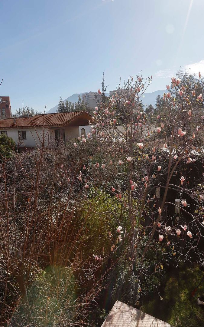 Hermanos Lobos, Santiago foto-34