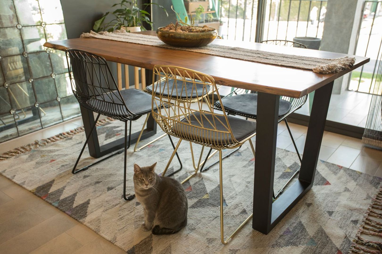 Echeñique, Santiago foto-5