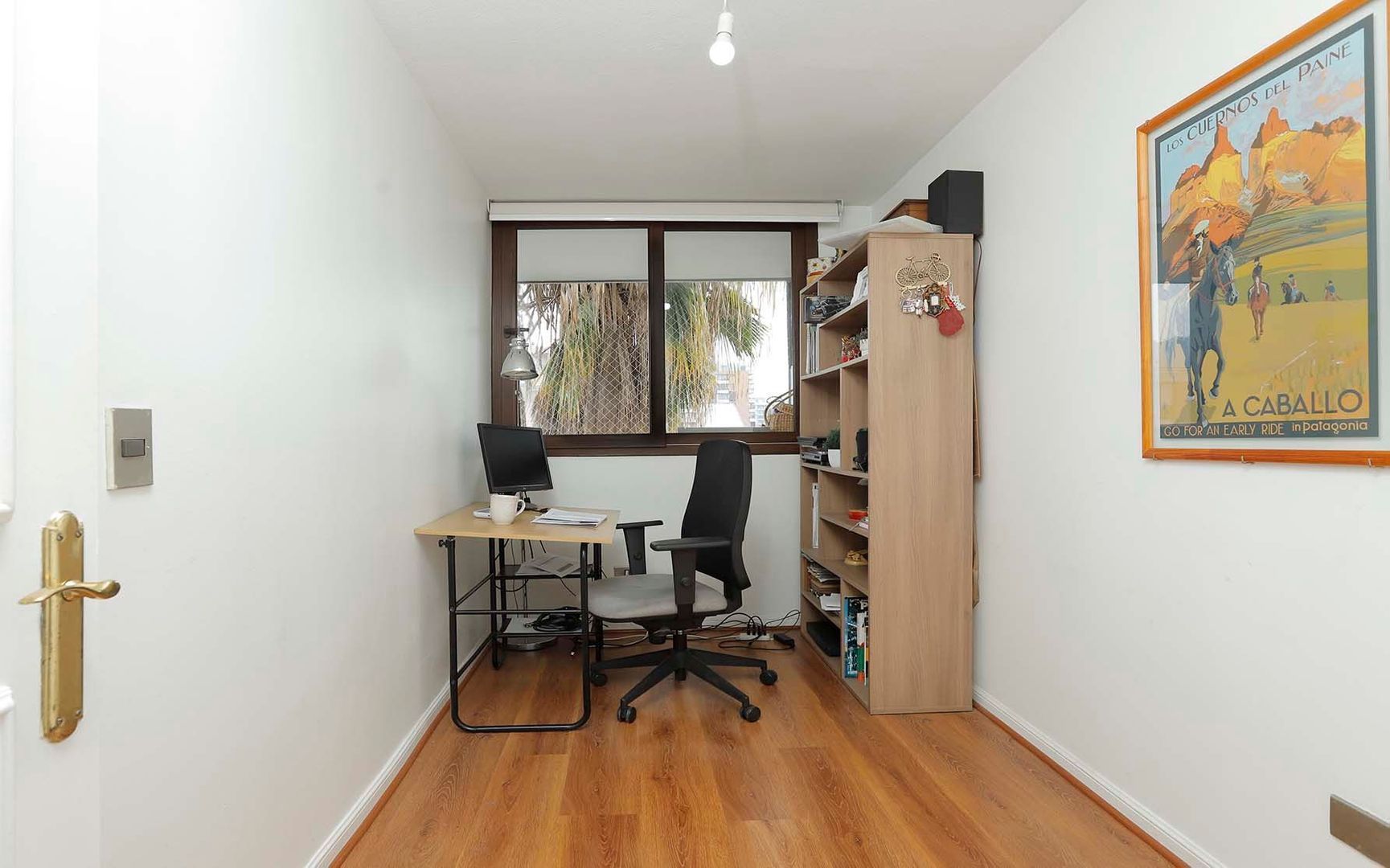 Silvina Hurtado, Providencia foto-12