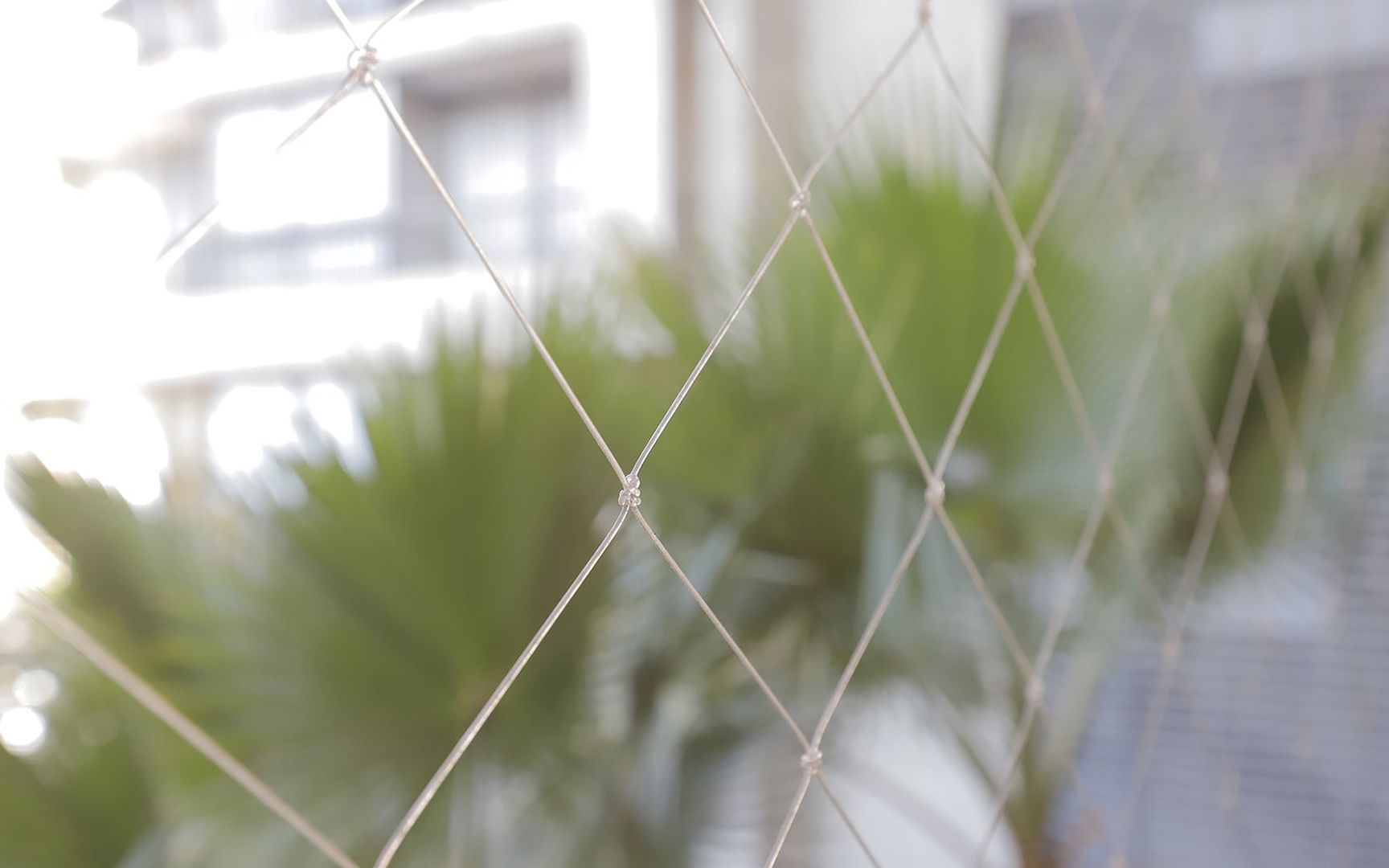 Padre Alonso de Ovalle, Santiago foto-4