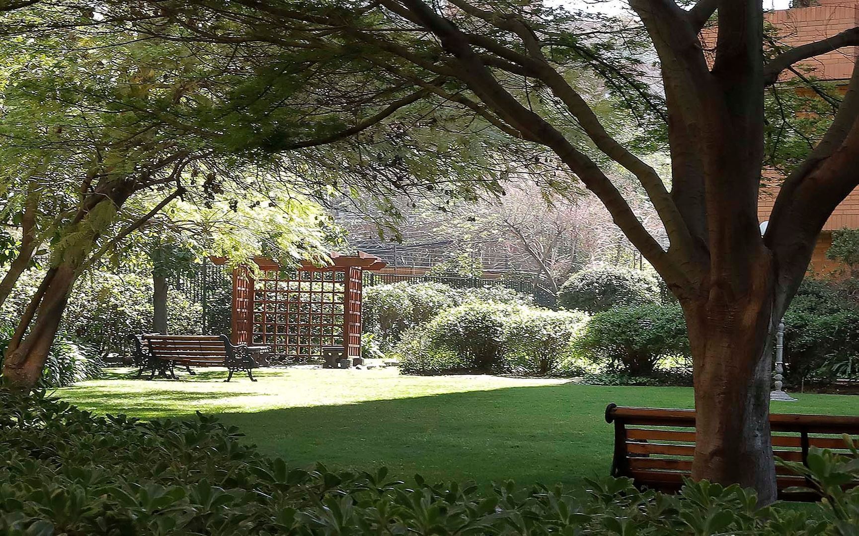 Bartolomé de las Casas, Santiago foto-23