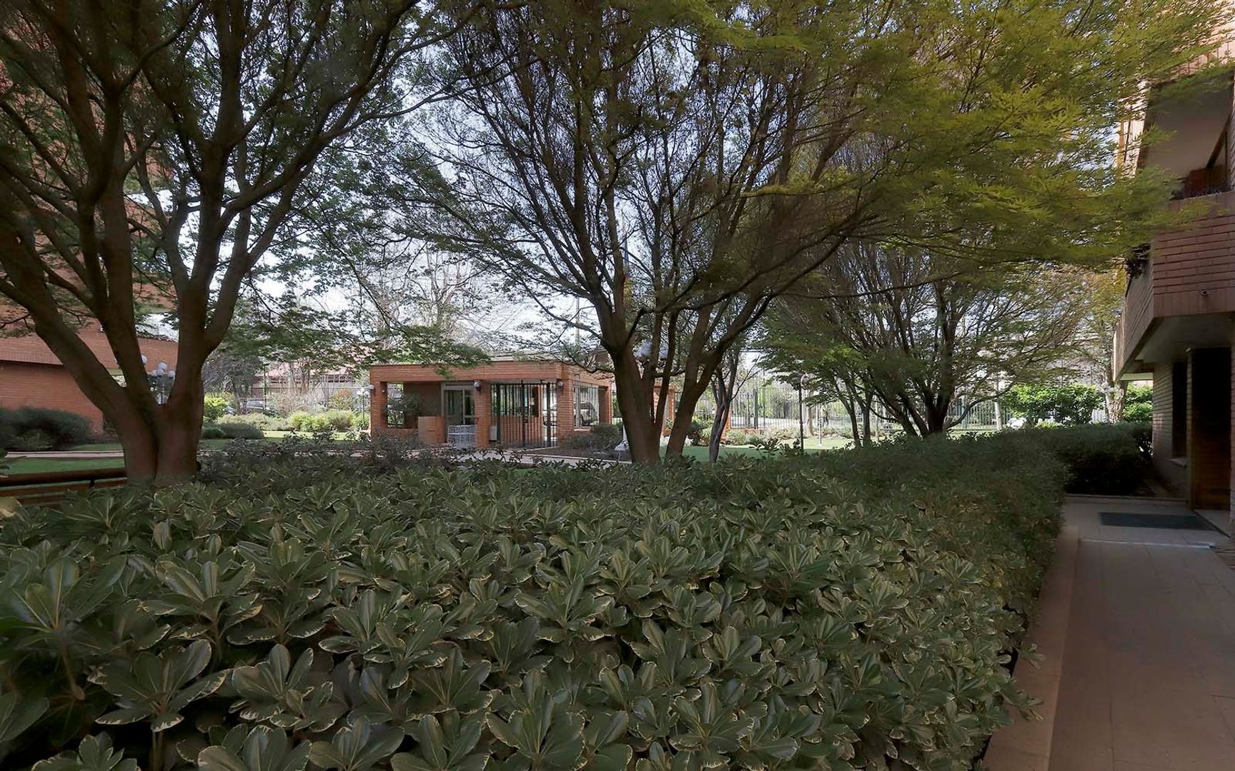 Bartolomé de las Casas, Santiago foto-21