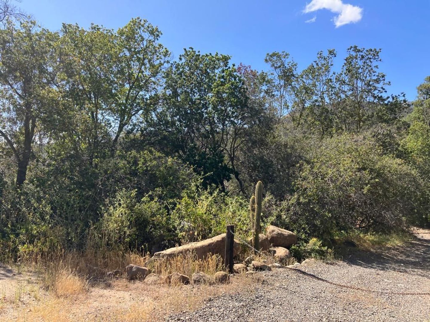 Oasis de La Campana, Quillota foto-8