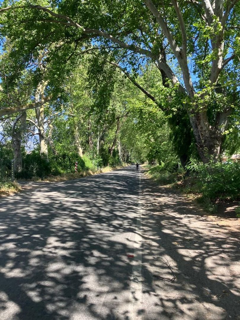 Oasis de La Campana, Quillota foto-1