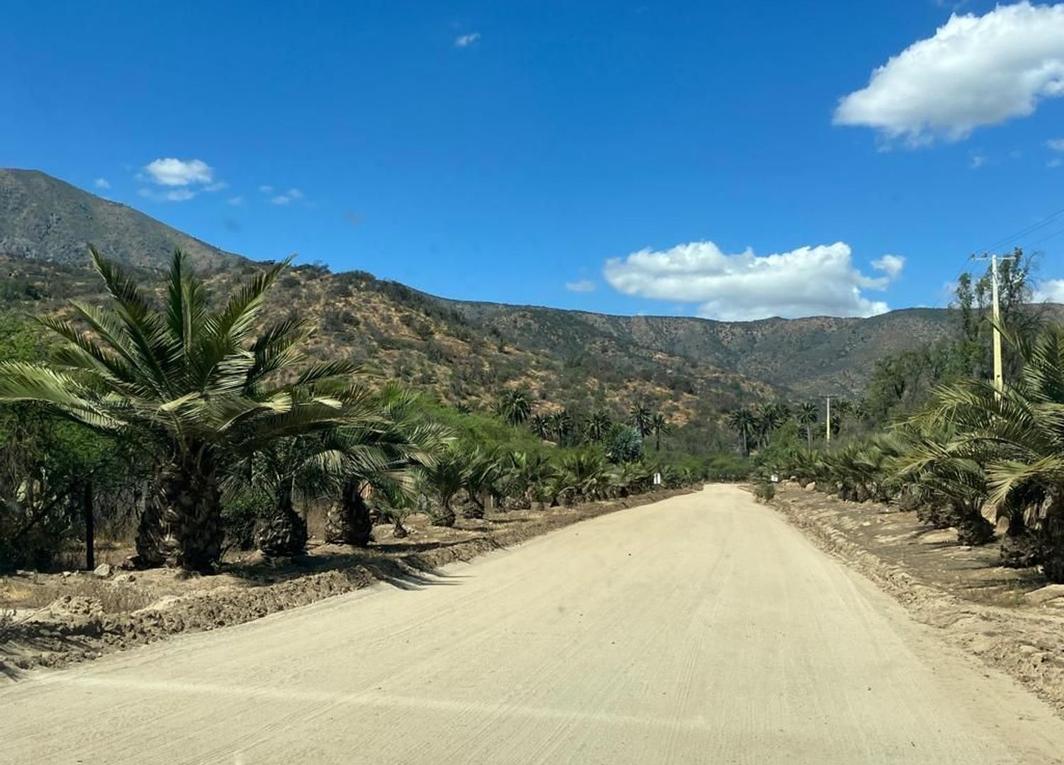 Oasis de La Campana, Quillota foto-2