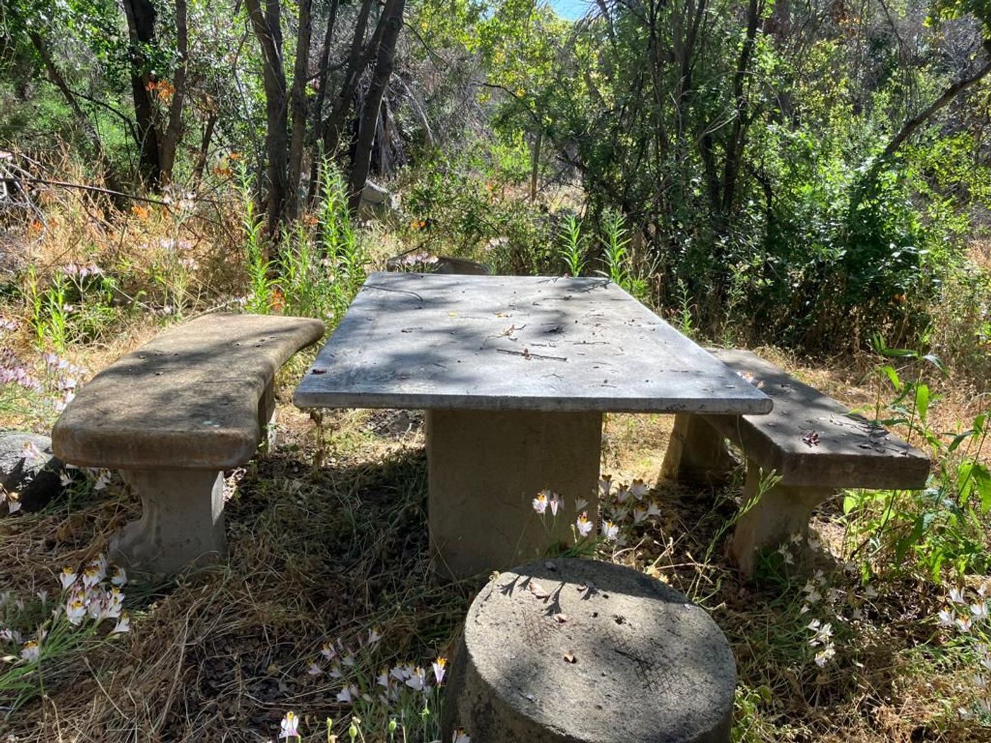 Oasis de La Campana, Quillota foto-15