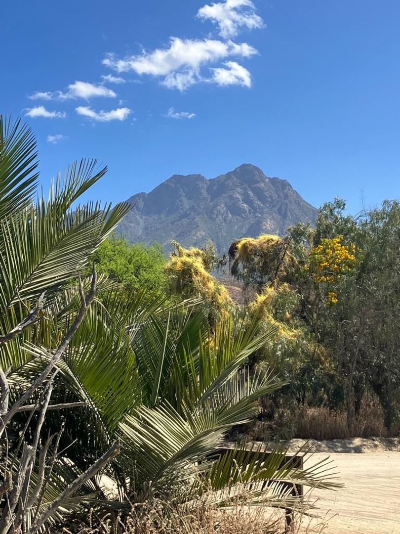 Oasis de La Campana, Quillota foto-3