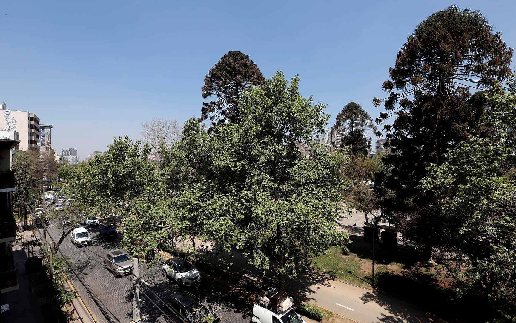 Av. General Bustamante, Santiago foto-5