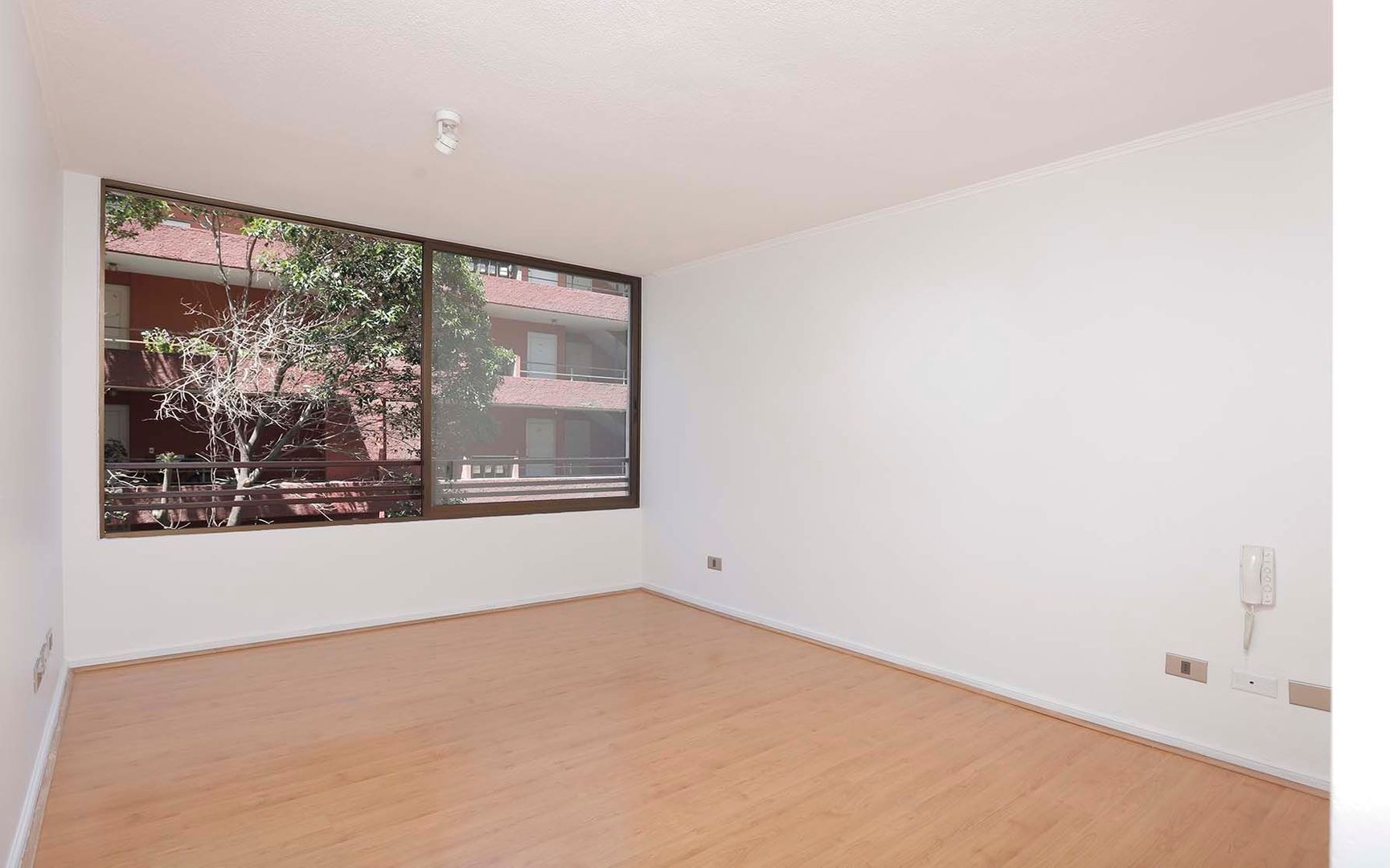 Silvina Hurtado, Santiago foto-12