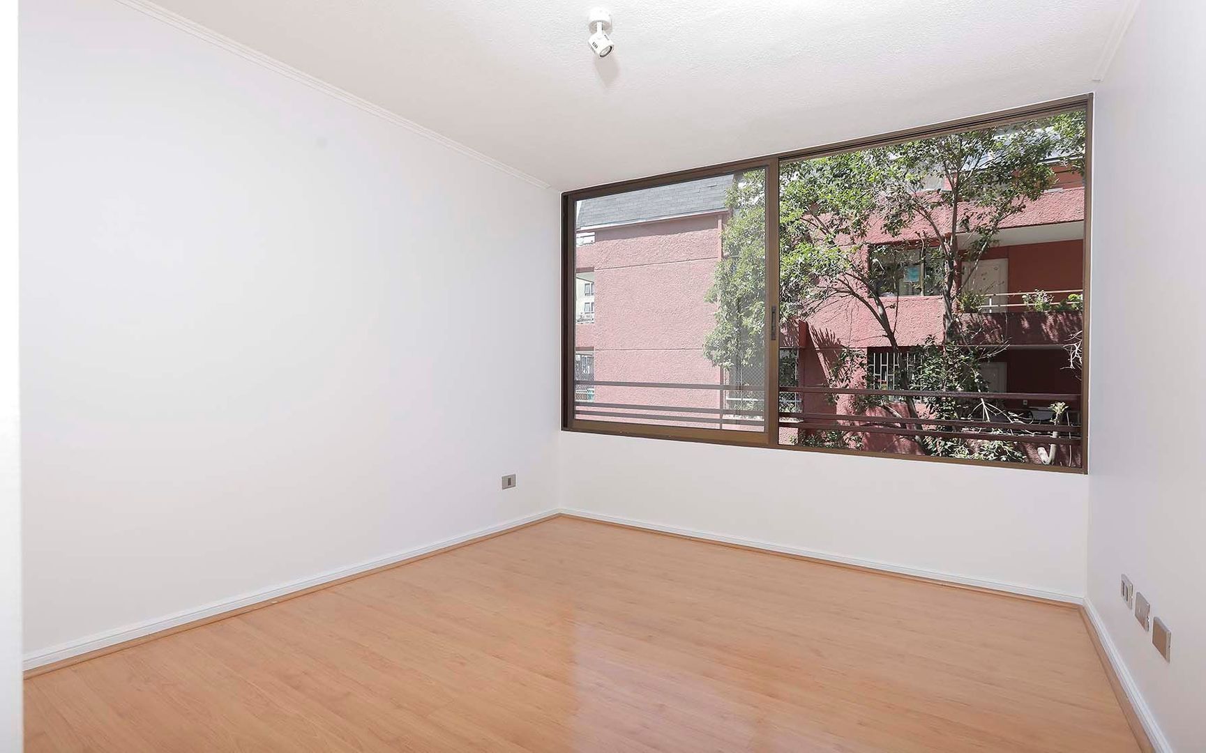 Silvina Hurtado, Santiago foto-11