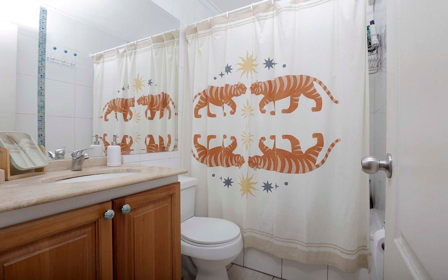 Pedro de Valdivia, Santiago foto-16