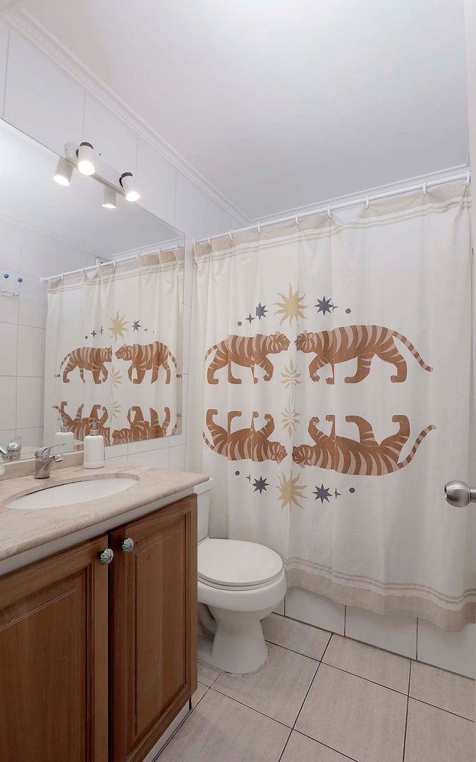 Pedro de Valdivia, Santiago foto-15