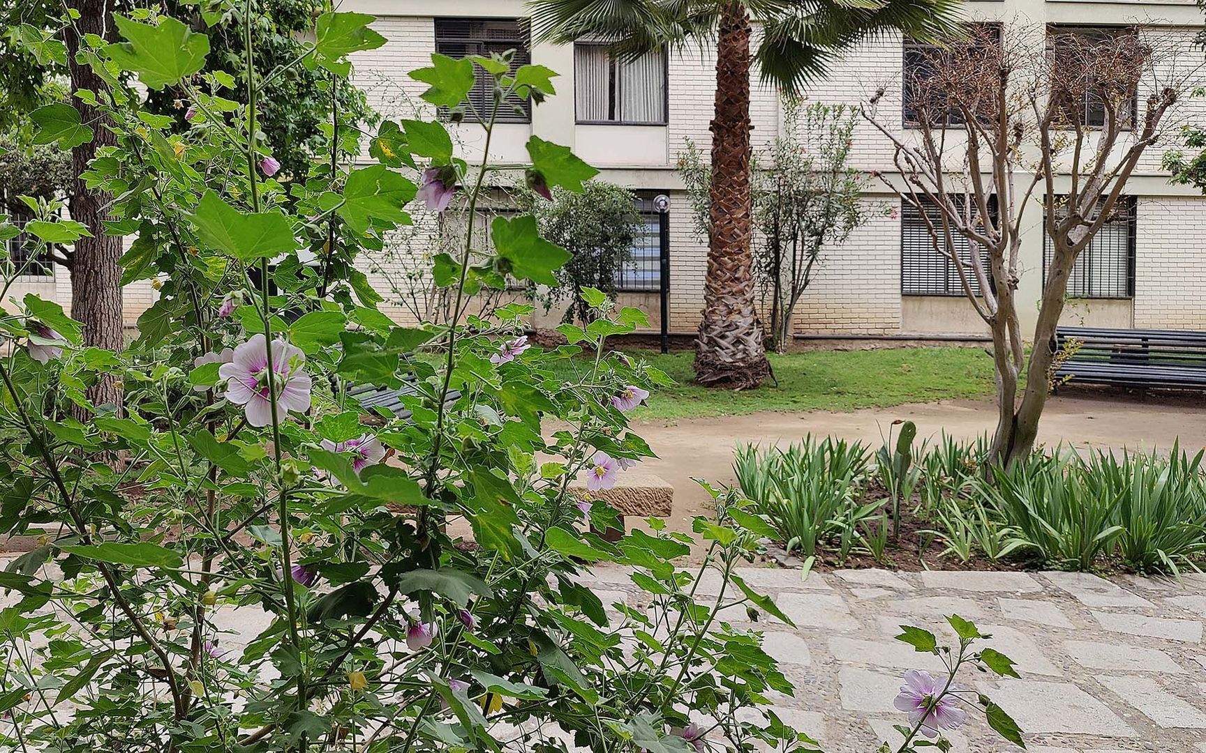 Galvarino Gallardo, Santiago foto-15