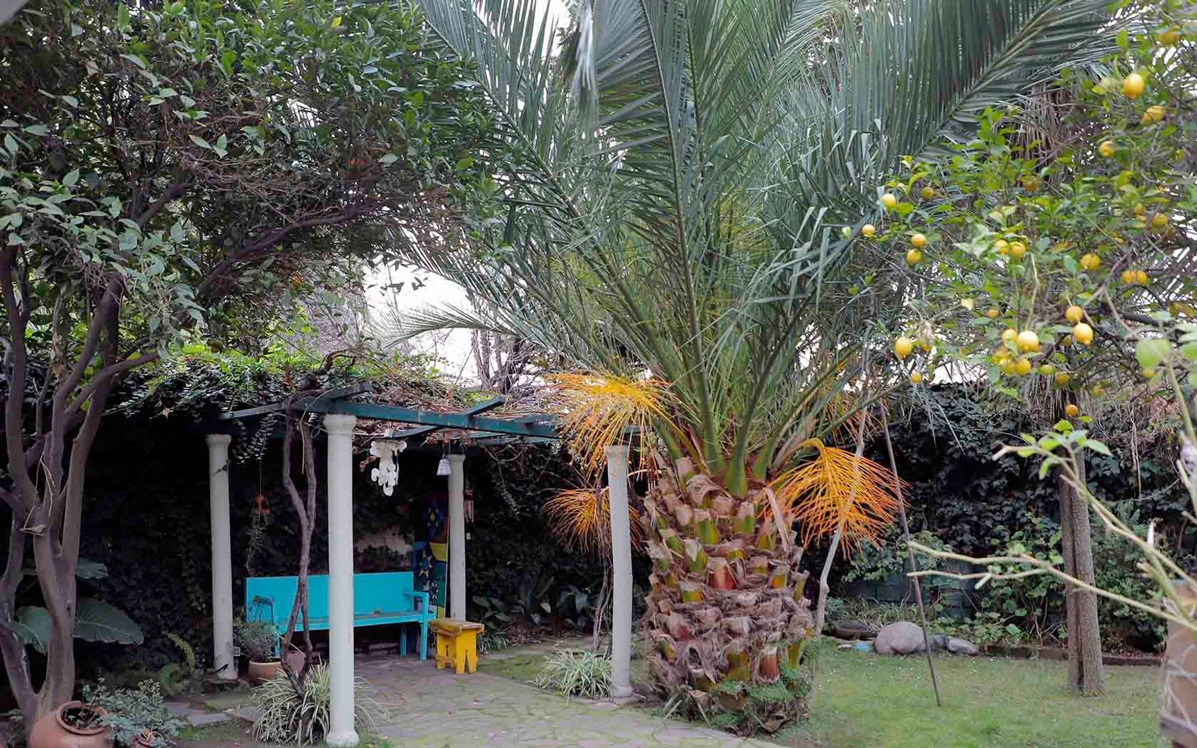 Campoamor, Santiago foto-16