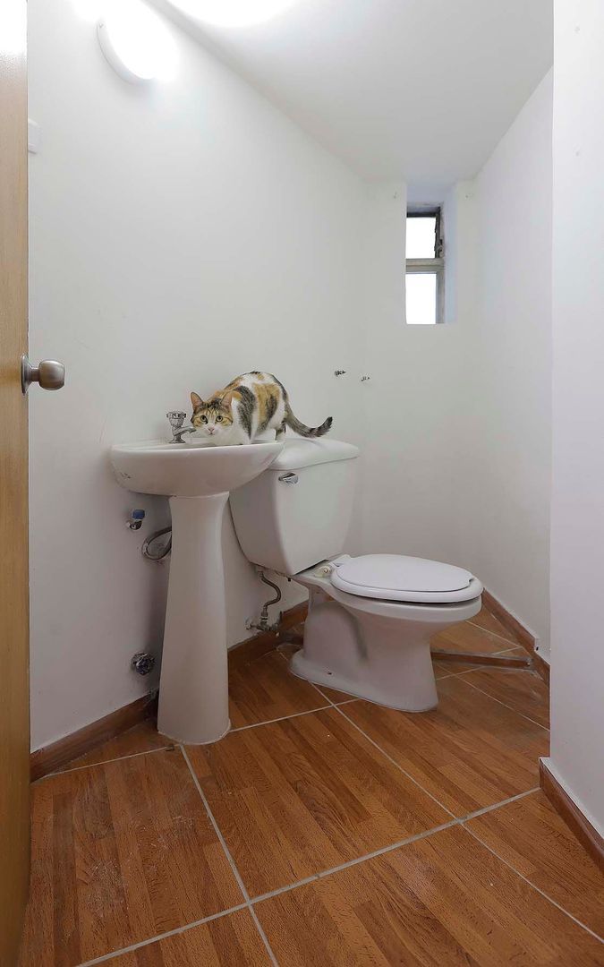 Av. Vitacura, Santiago foto-10