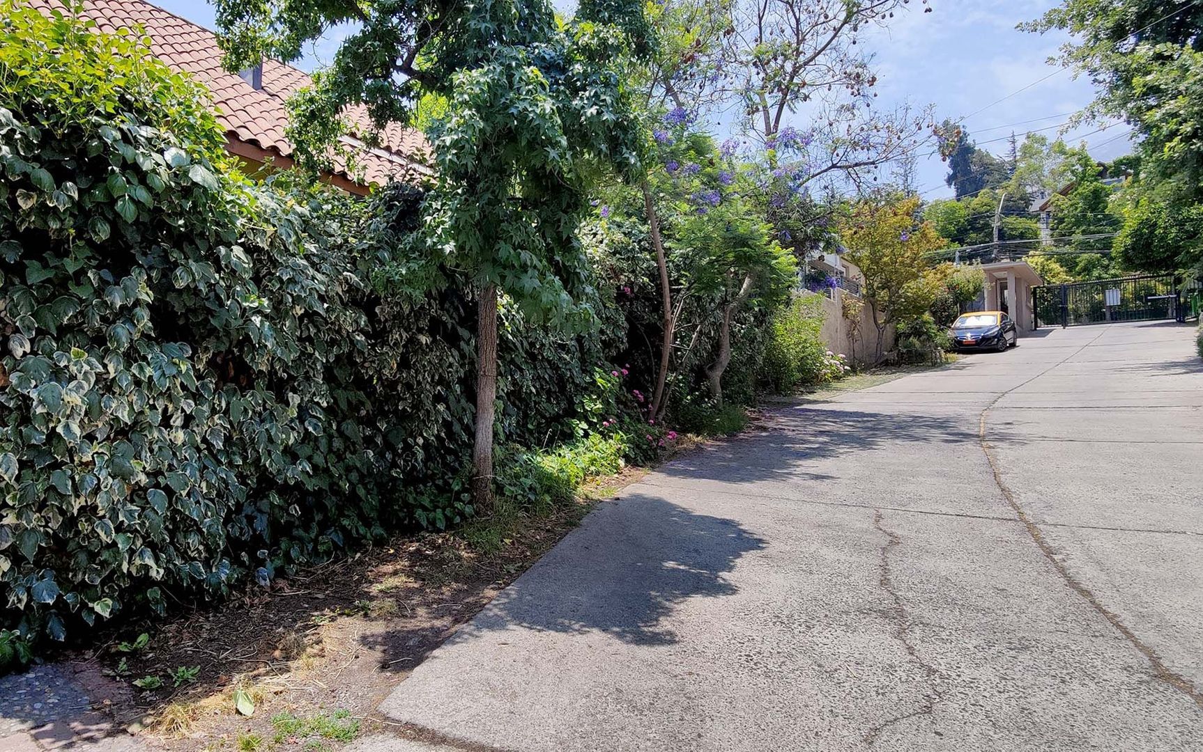 Julia Bernstein, Santiago foto-1