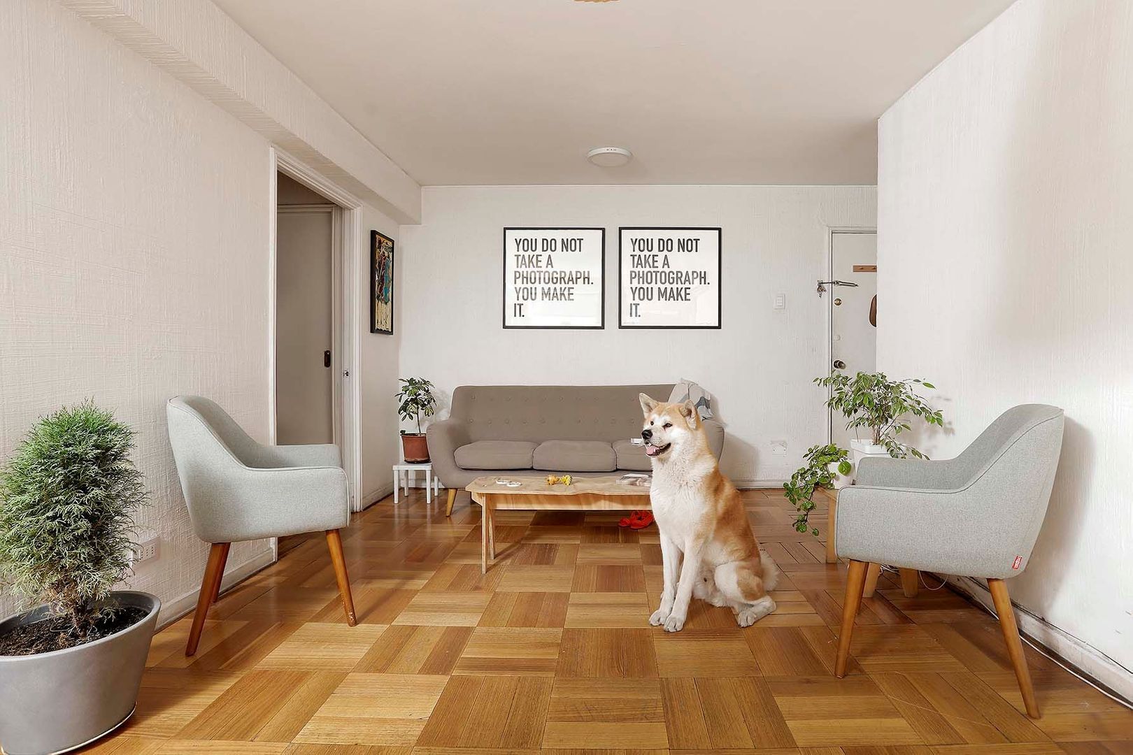 Condell, Santiago foto-0