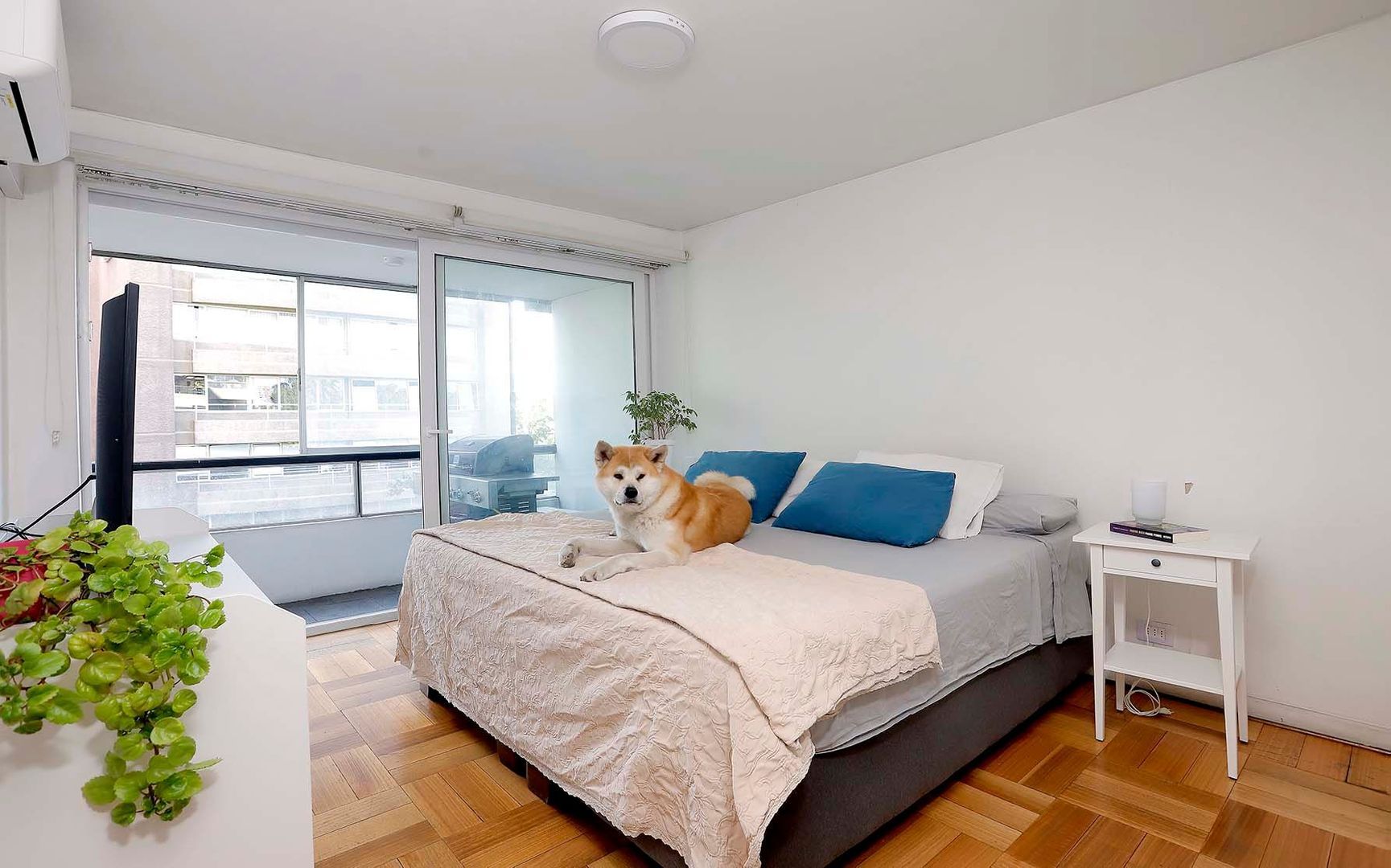 Condell, Santiago foto-10