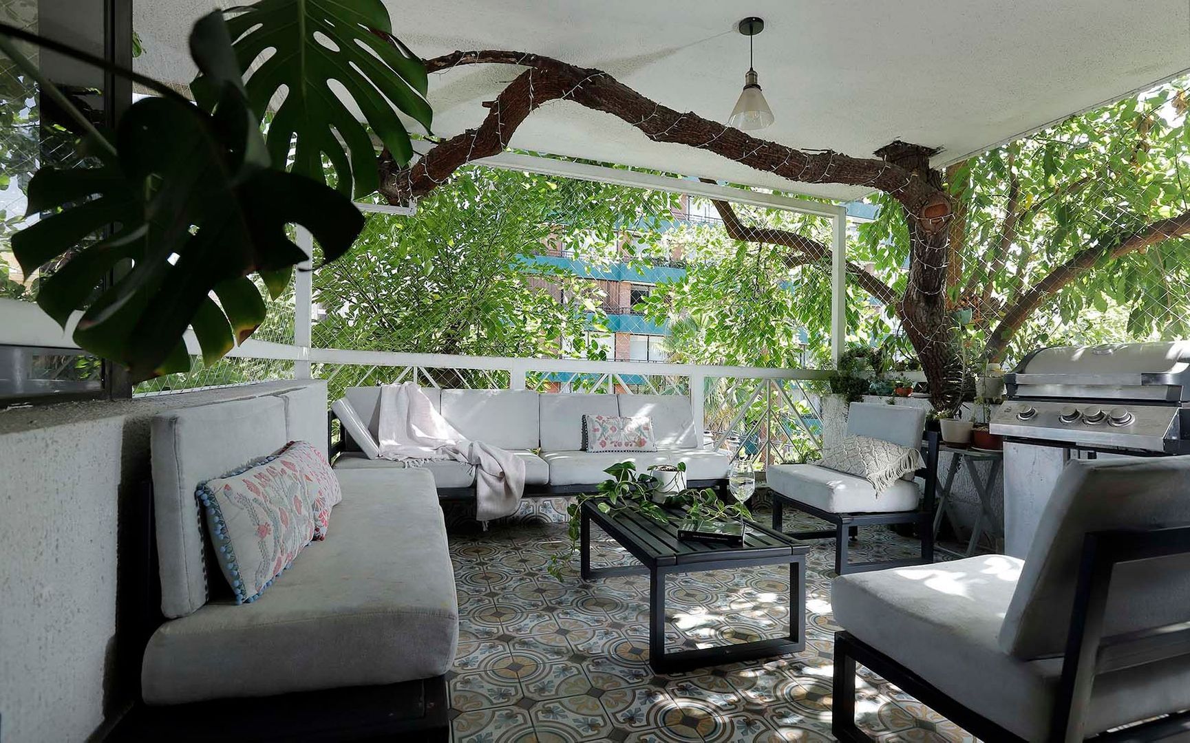 Quillay, Santiago foto-7