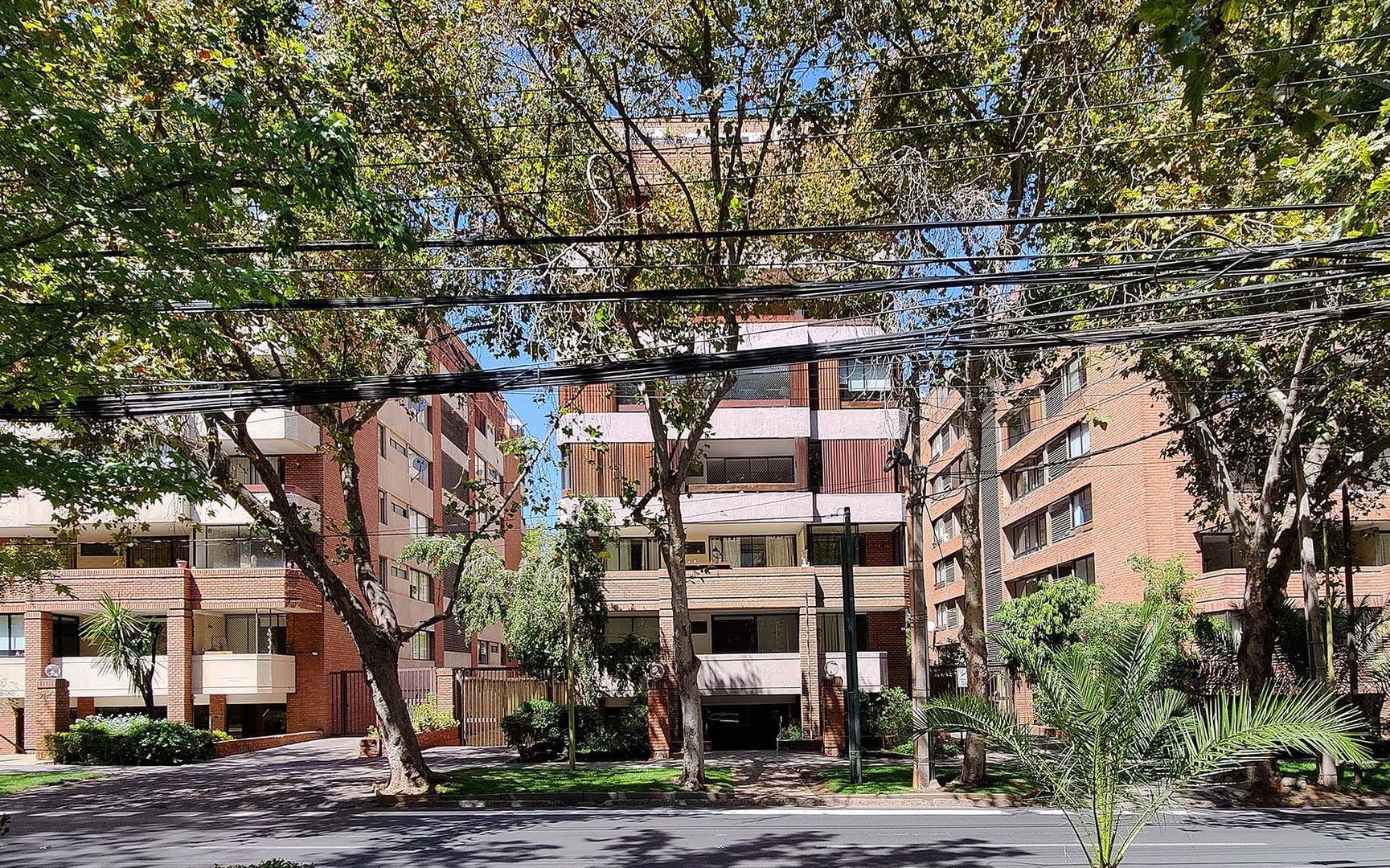 Napoleón, Santiago foto-1