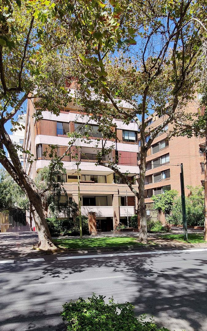 Napoleón, Santiago foto-2