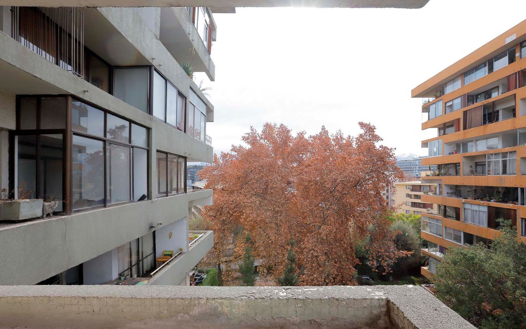 Av. Francisco Bilbao, Santiago foto-7