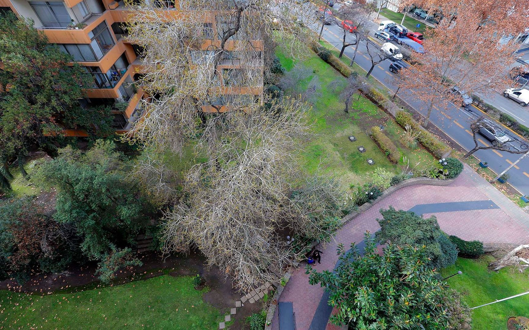 Av. Francisco Bilbao, Santiago foto-16