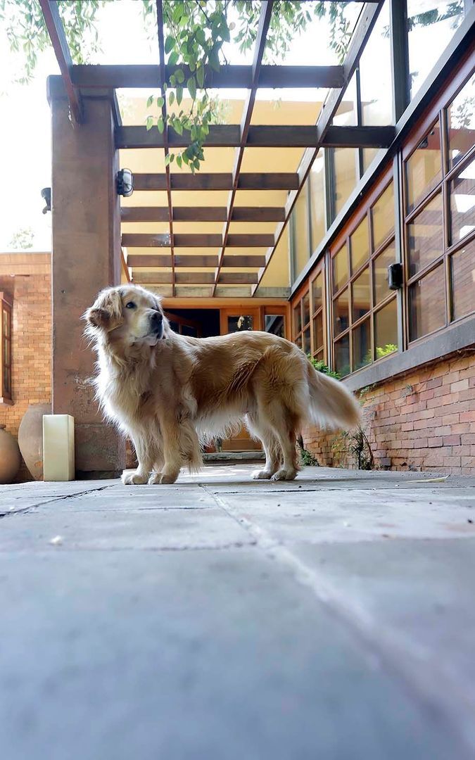 Fernández Concha, Santiago foto-7