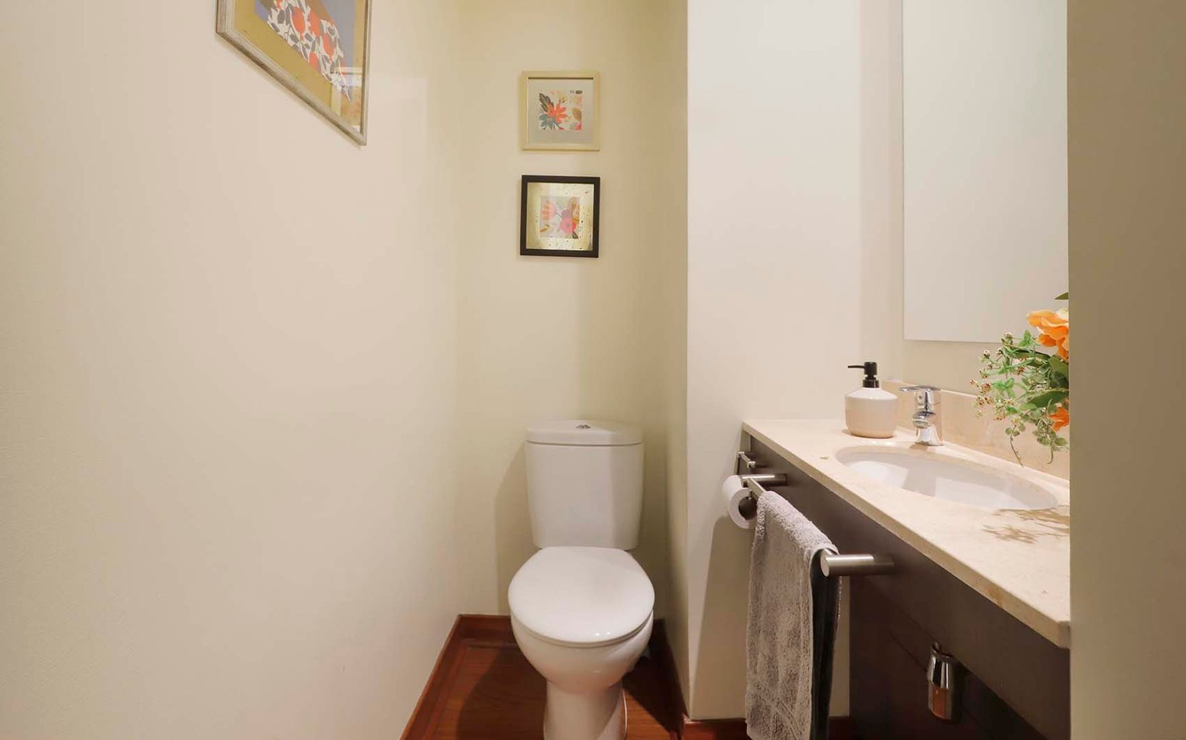 Pío XI, Santiago foto-10