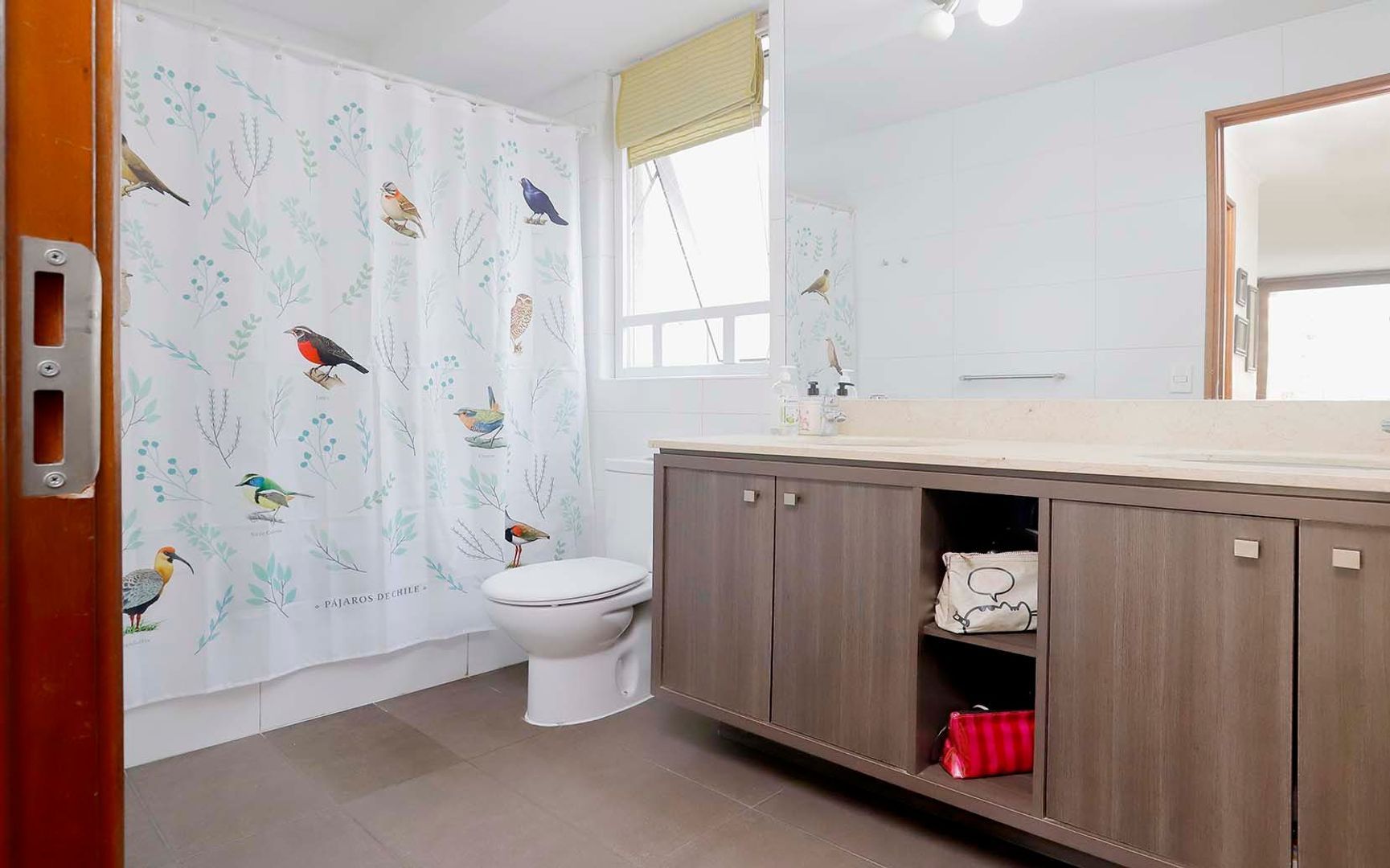 Pío XI, Santiago foto-18