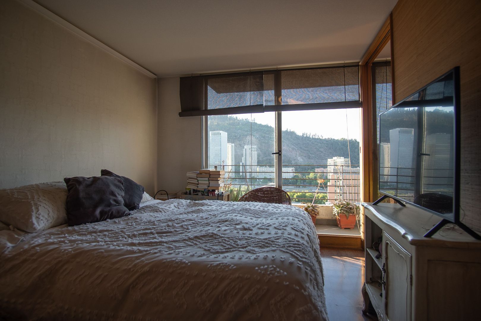 Francisco Antonio Encina, Santiago foto-6