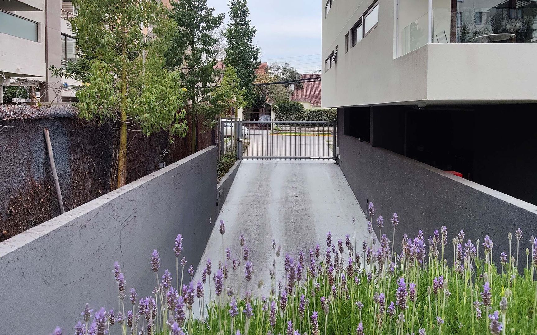 California, Santiago foto-20