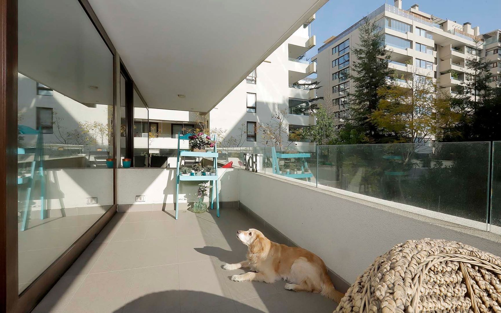 Las Hualtatas, Santiago foto-23