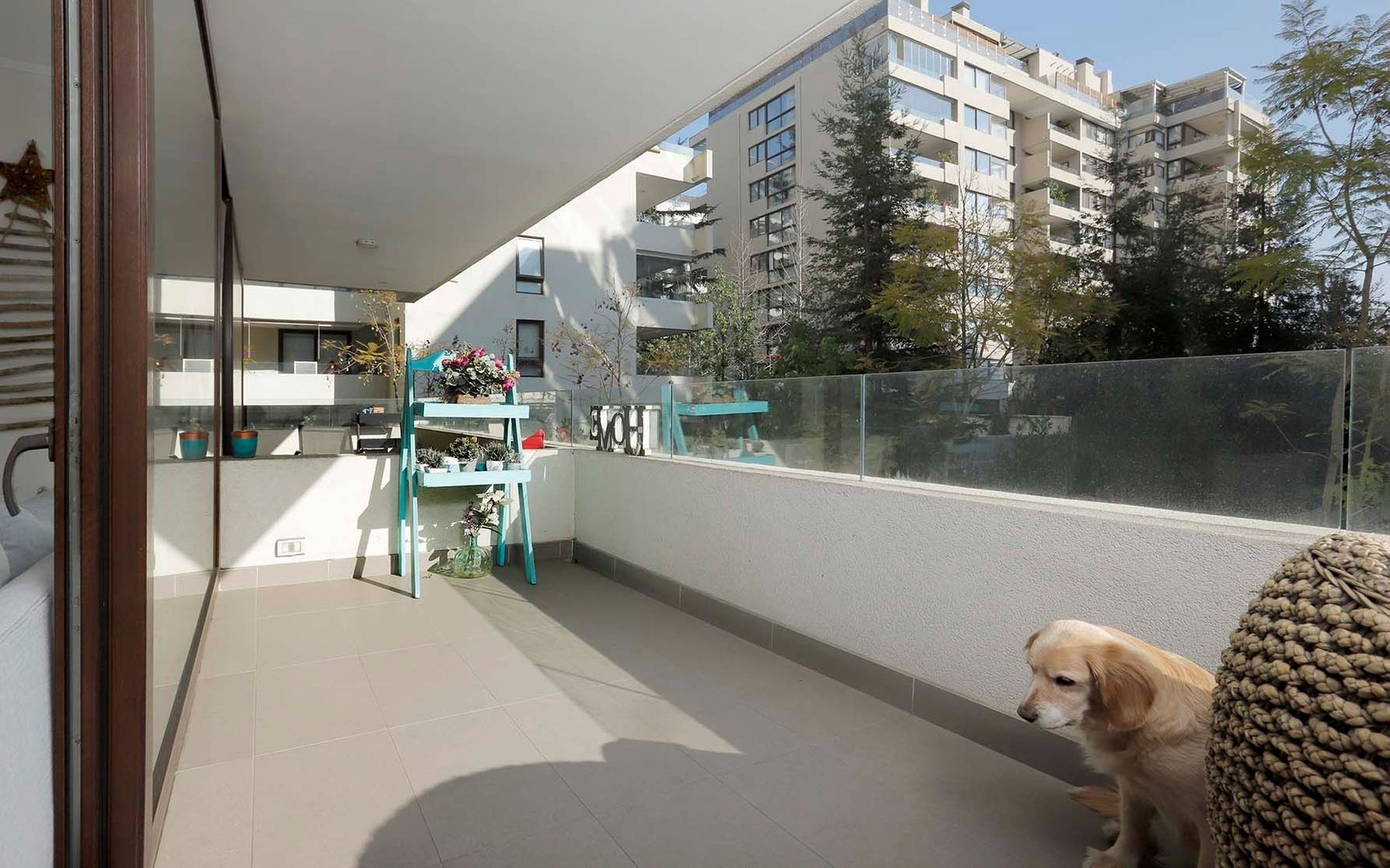 Las Hualtatas, Santiago foto-22