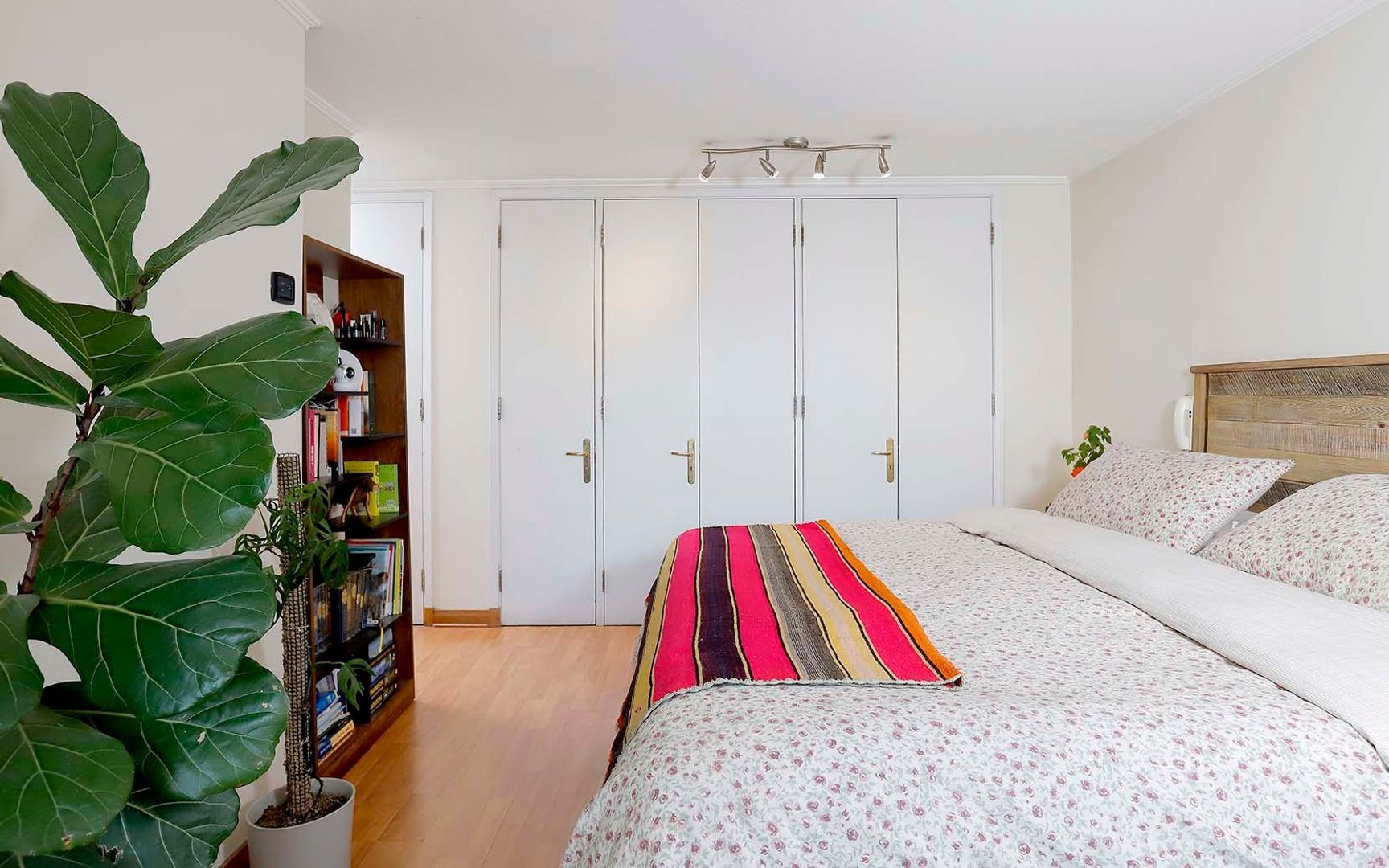 Cerro El Plomo, Santiago foto-17