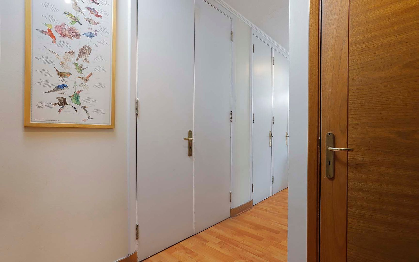 Cerro El Plomo, Santiago foto-15