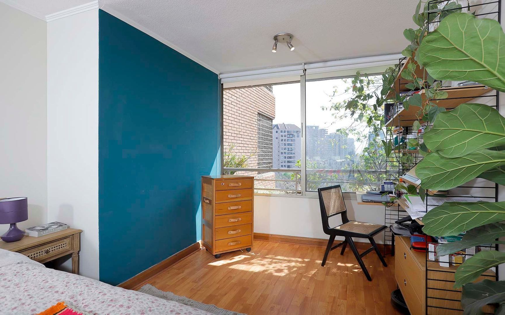 Cerro El Plomo, Santiago foto-20