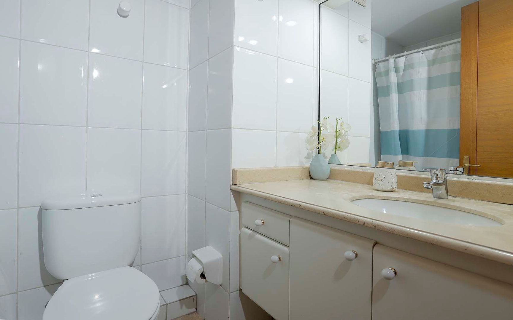 Cerro El Plomo, Santiago foto-14