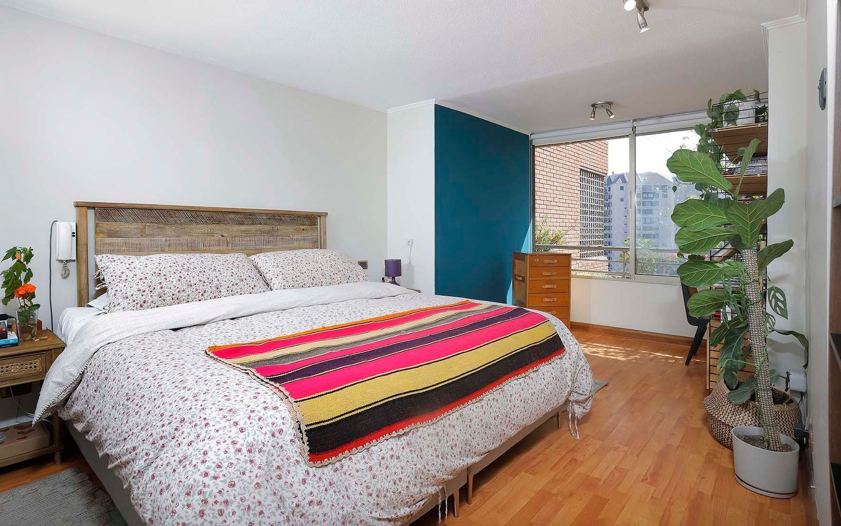 Cerro El Plomo, Santiago foto-16