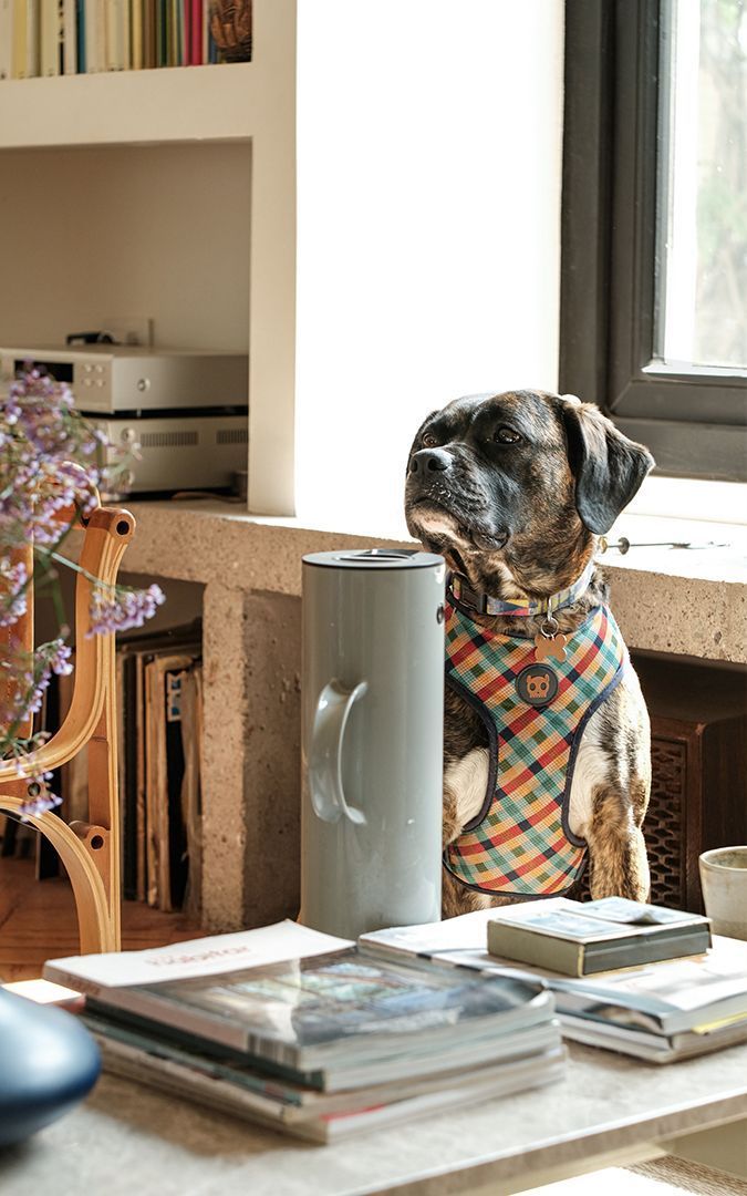 Los Capitanes, Santiago foto-9