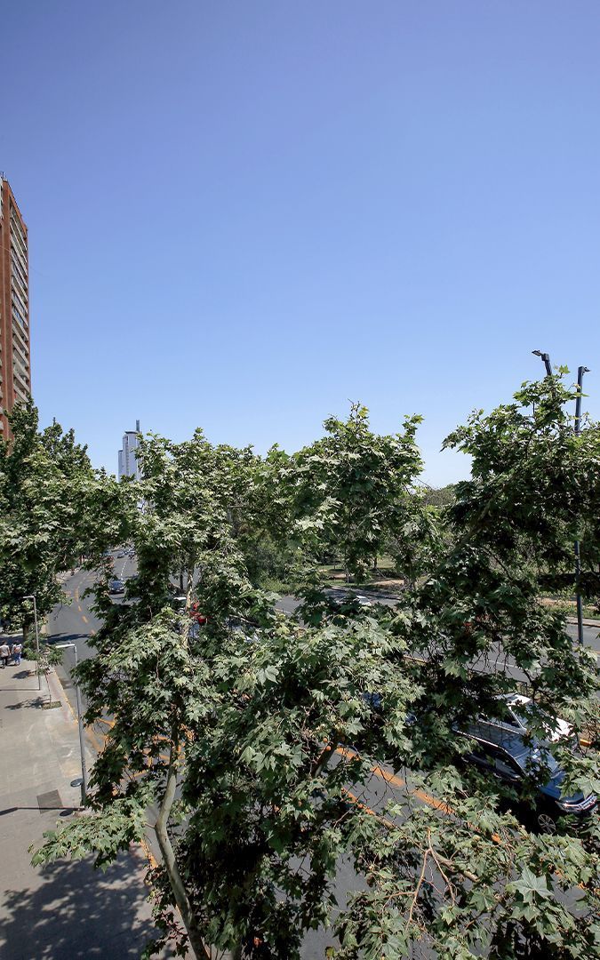 Av. Providencia, Santiago foto-20