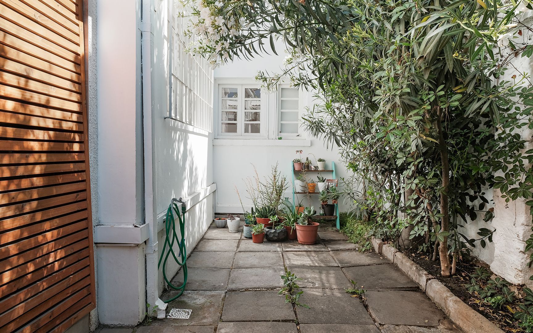 Holanda, Santiago foto-21