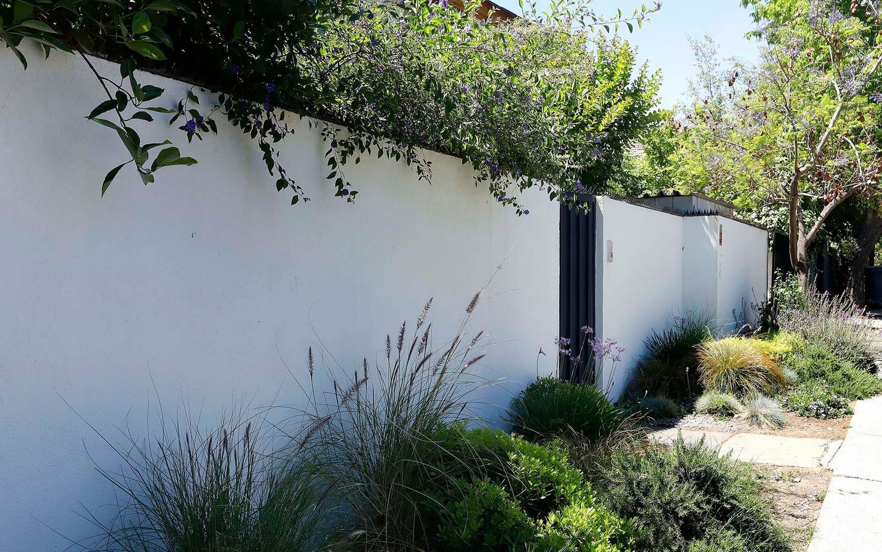 Las Fresas, Santiago foto-3