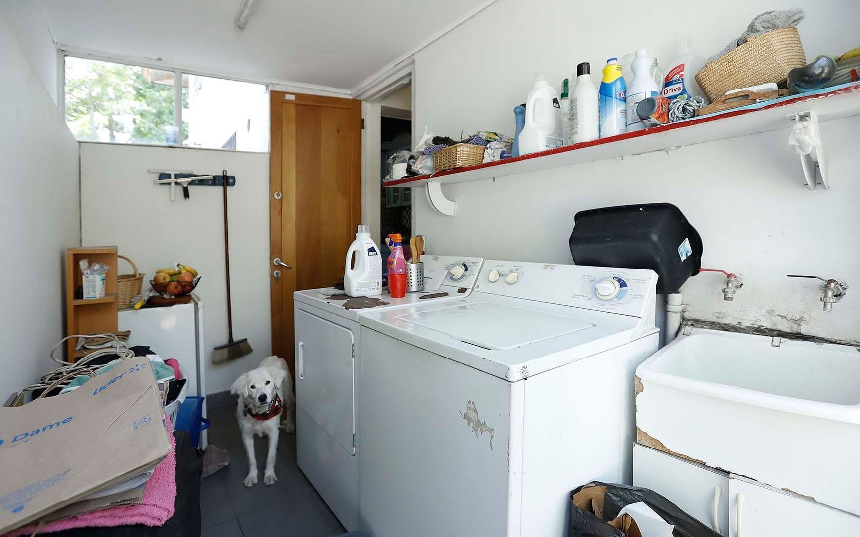 Las Fresas, Santiago foto-19