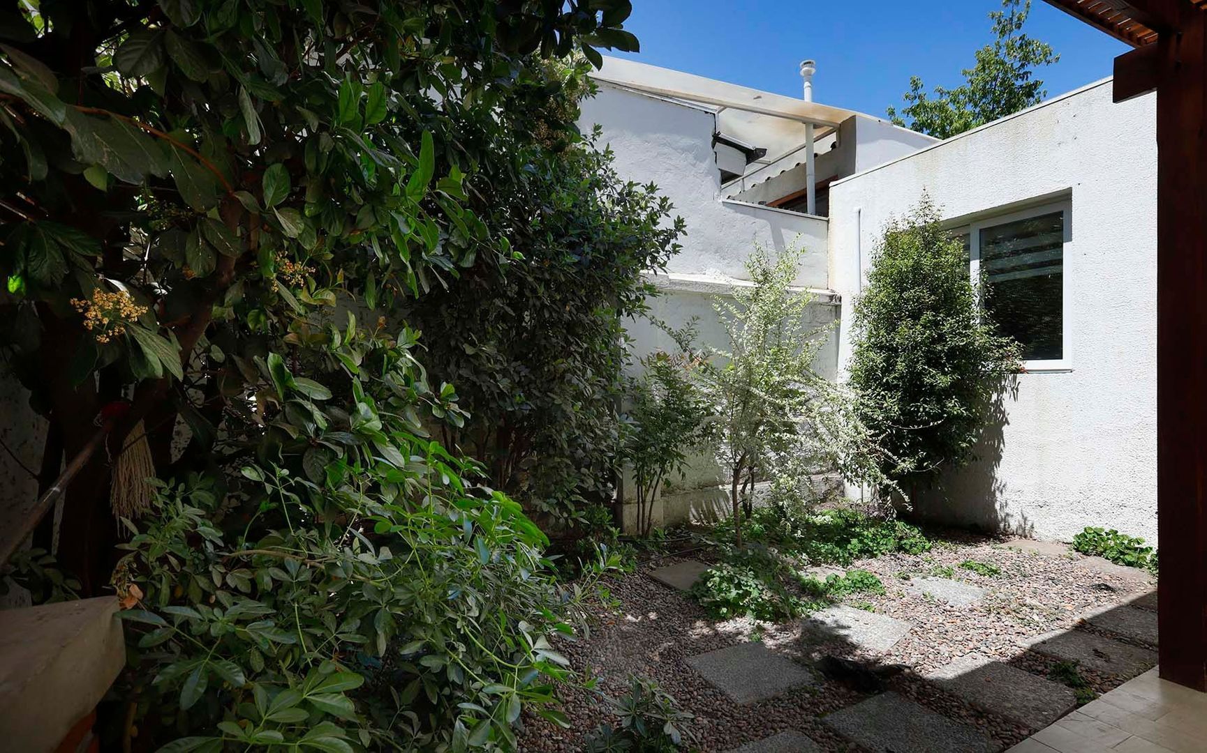 Las Fresas, Santiago foto-22