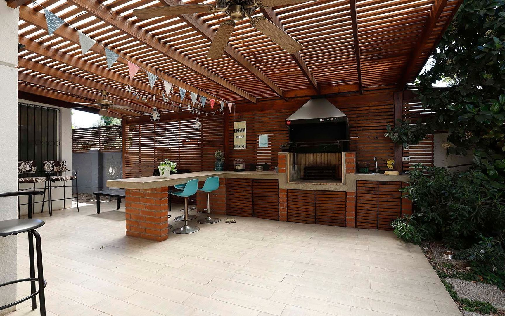 Las Fresas, Santiago foto-21