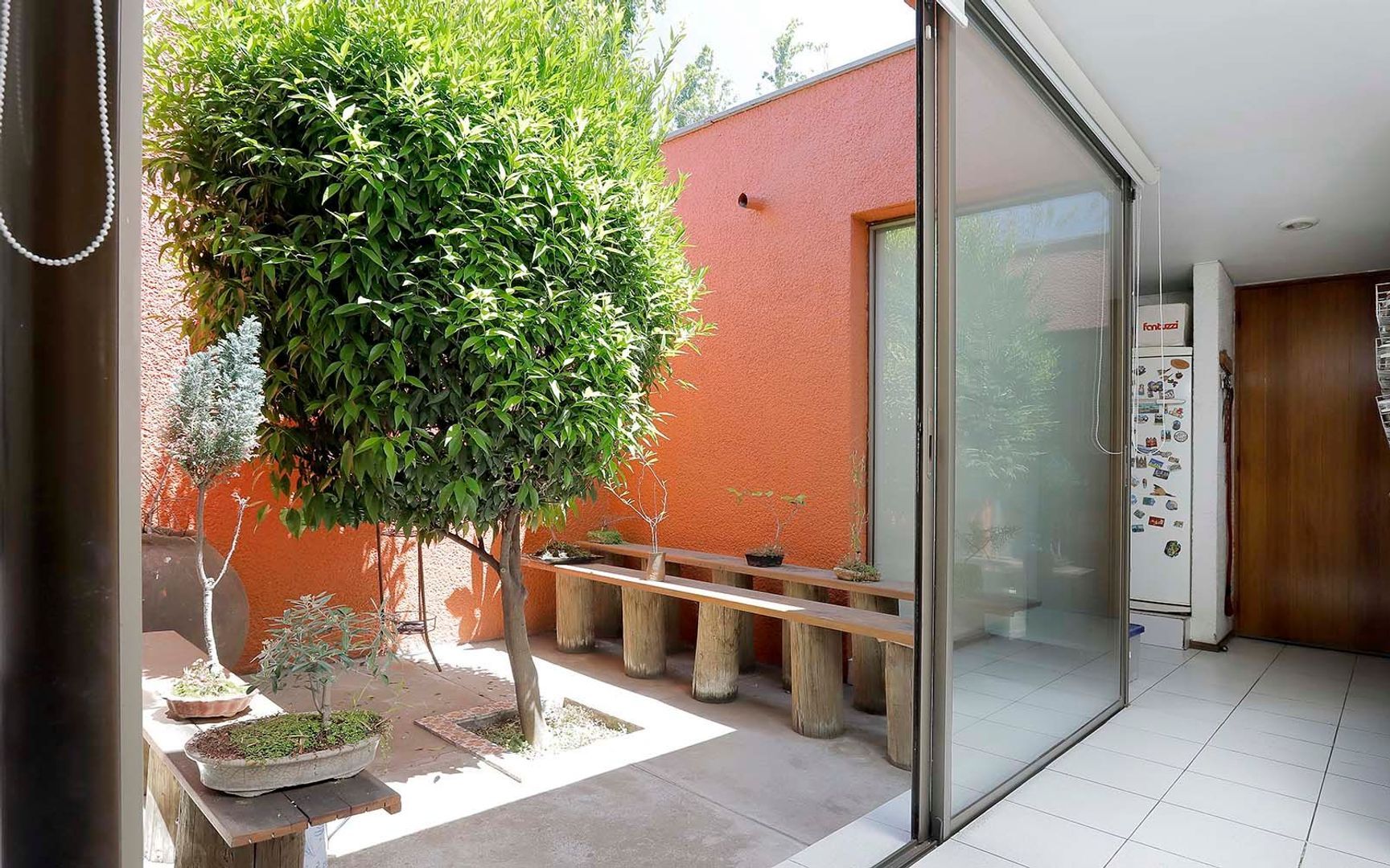 Camino del Algarrobo, Santiago foto-17