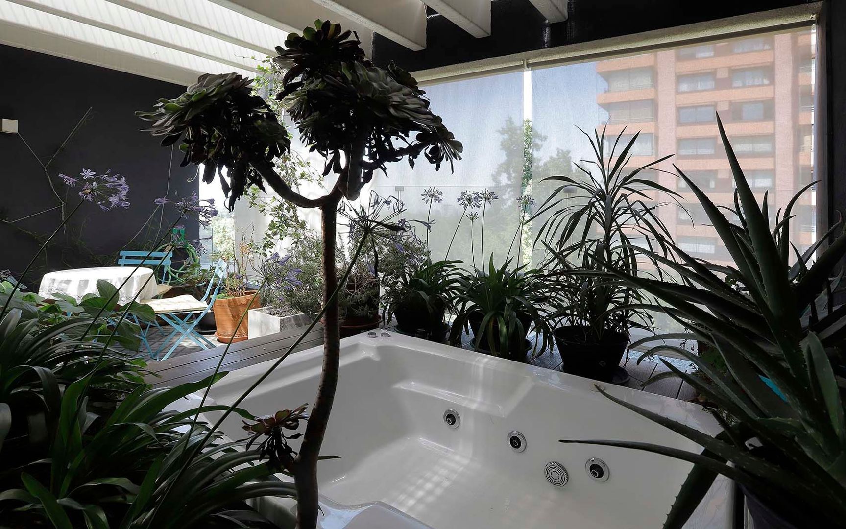 Domingo Bondi, Santiago foto-26