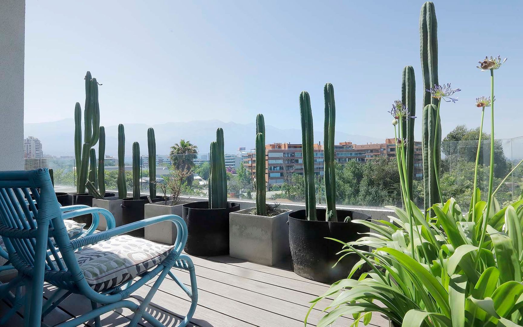 Domingo Bondi, Santiago foto-9