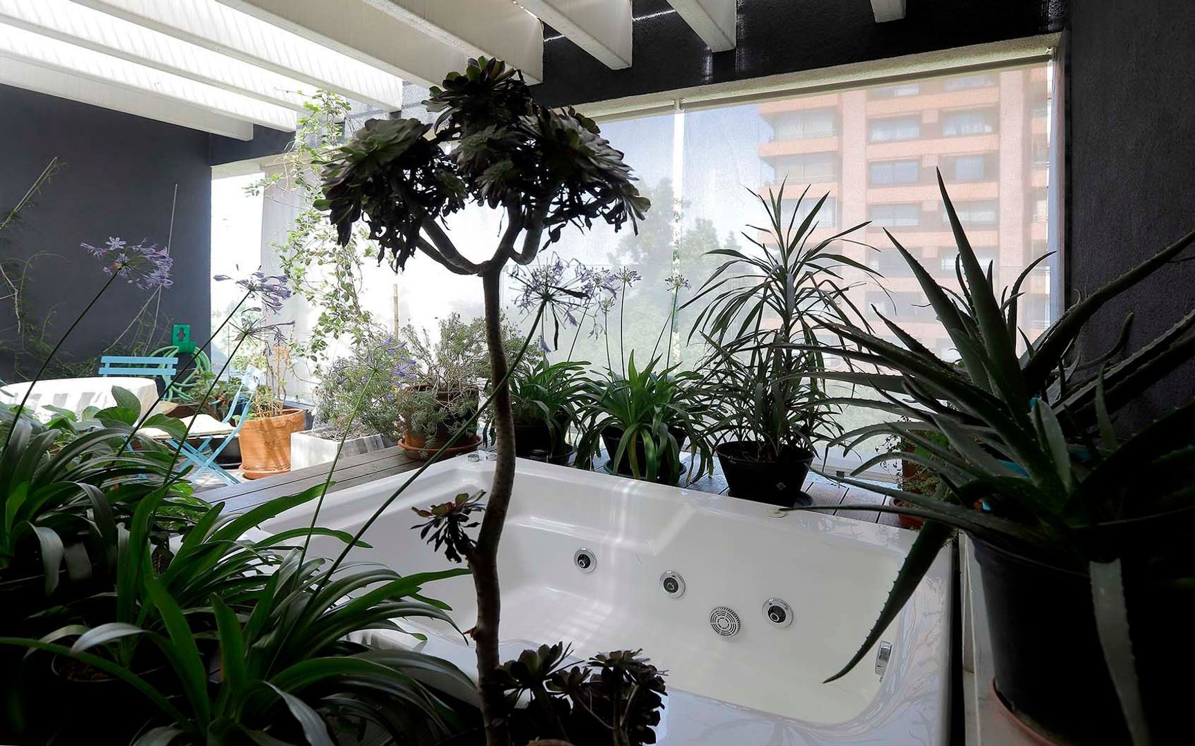 Domingo Bondi, Santiago foto-27